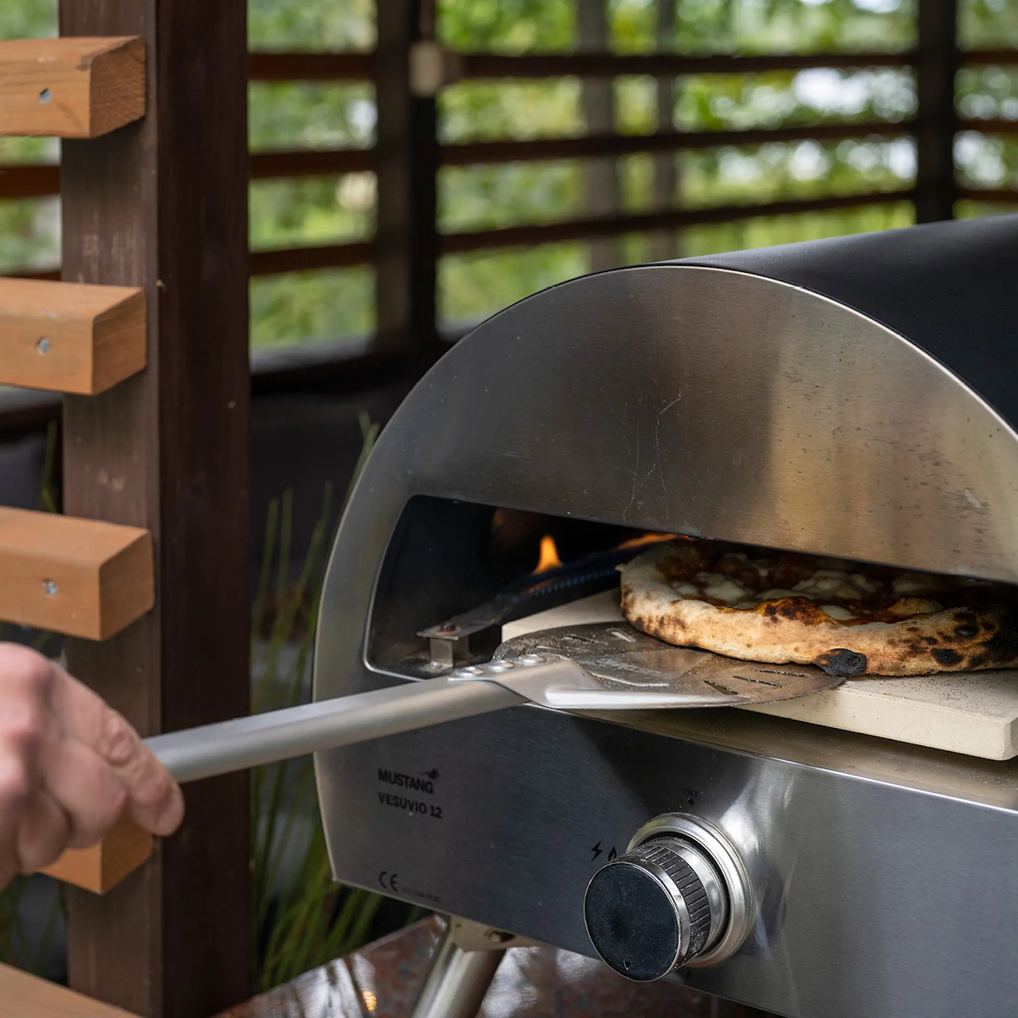 Mustang Mustang Pizzalapio 56 cm