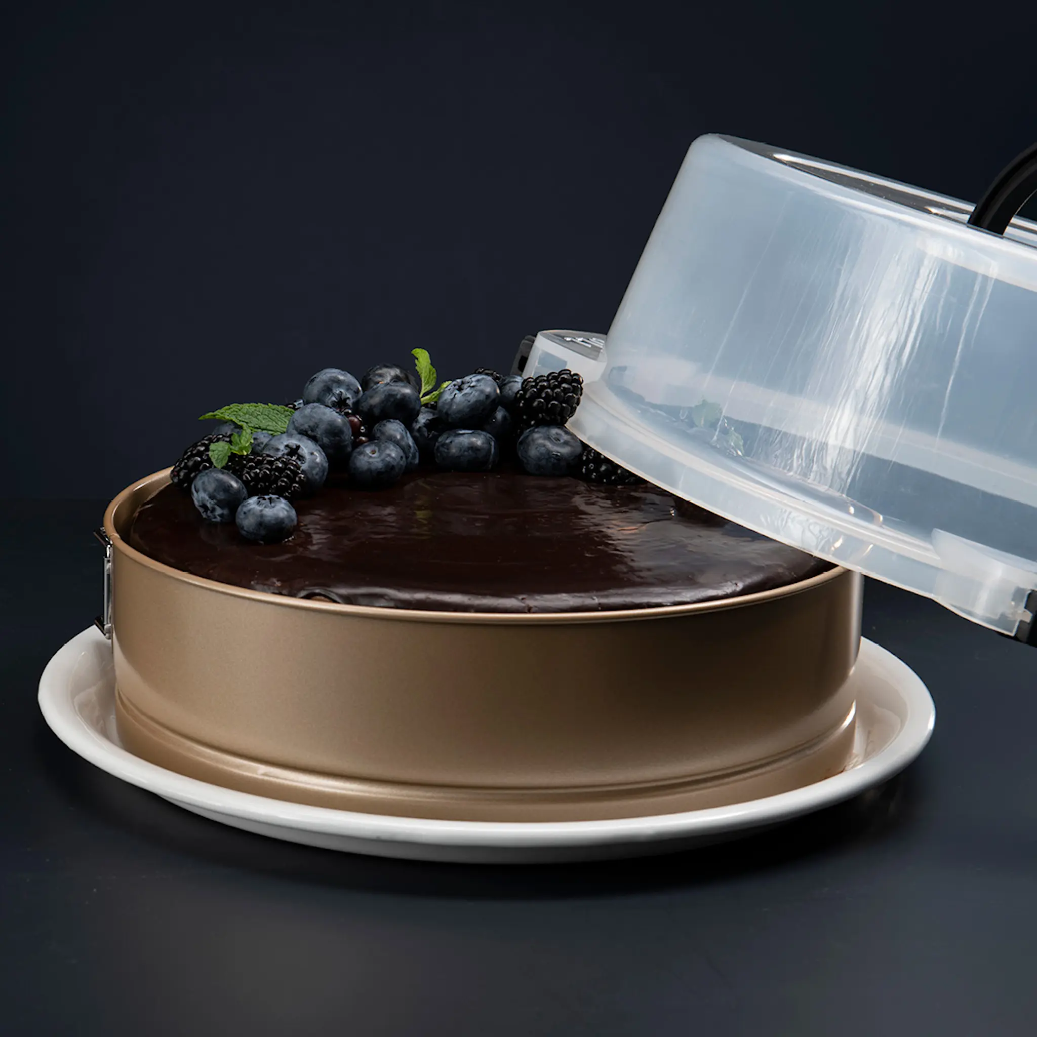 Modern House bAYk tårtfat med springform och lock 26 cm guld