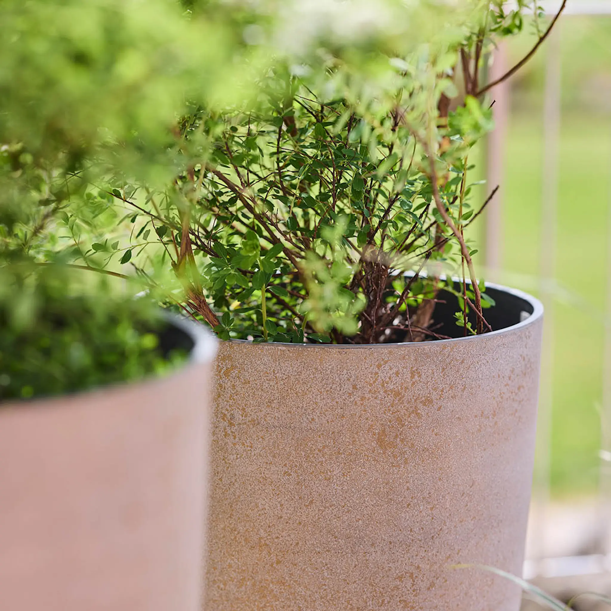 GUS Design Nova blomkruka 36x67 cm concrete gold