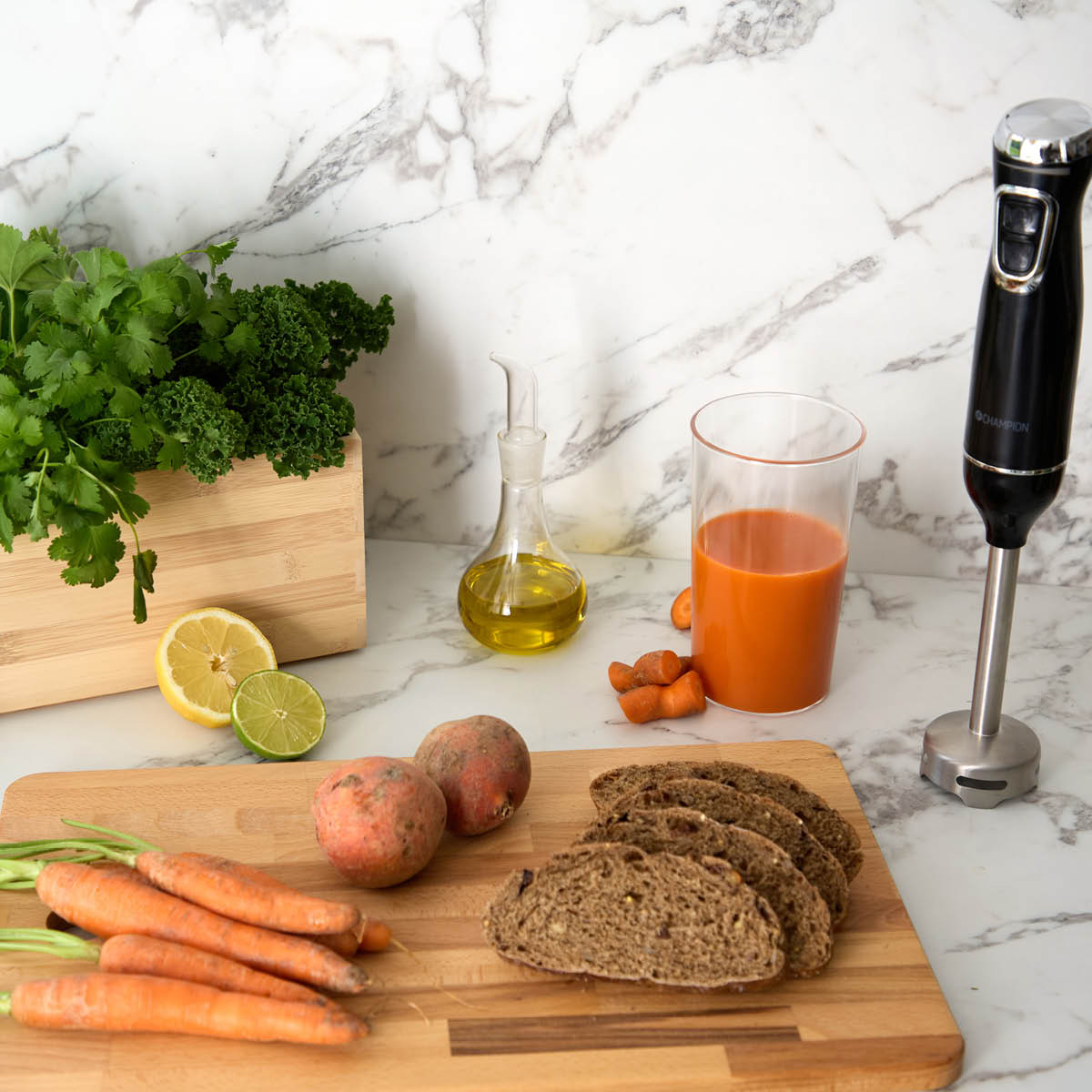 CHAMPION Stavmixer STM300 600W rostfritt stål/svart