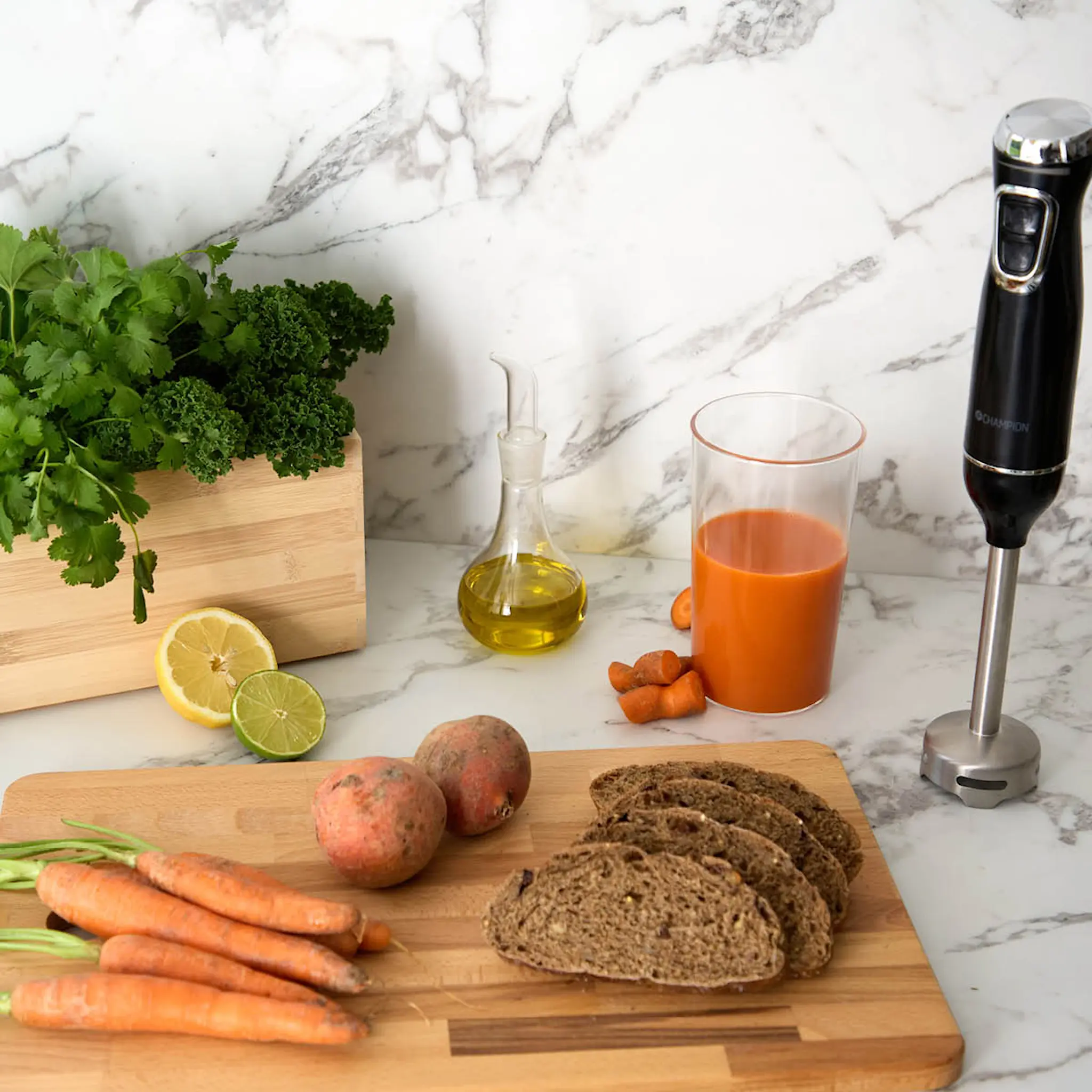 CHAMPION Stavmixer STM300 600W rostfritt stål/svart