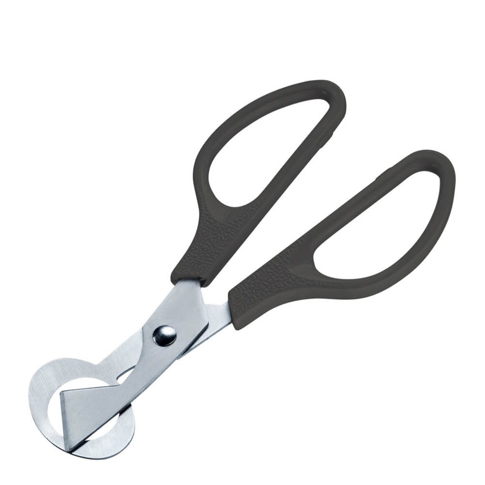 Westmark Viiriäisen munasakset