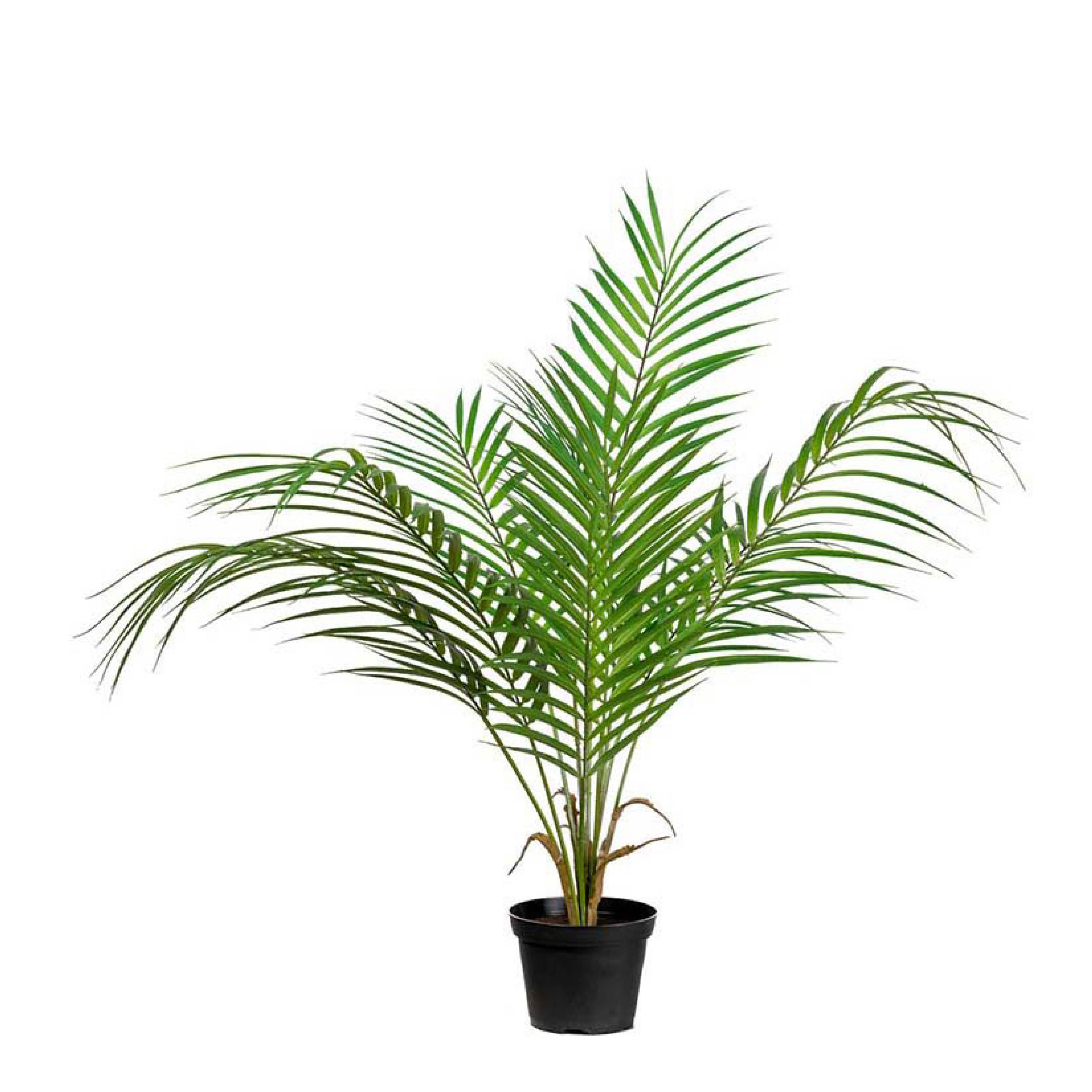 Mr Plant Bergspalm konstgjord krukväxt 55 cm grön