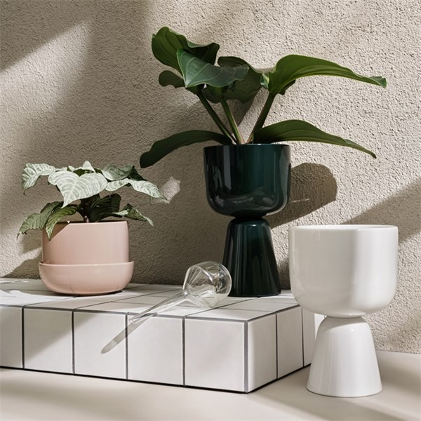 iittala Vanningssett selvvanningskule 2 stk