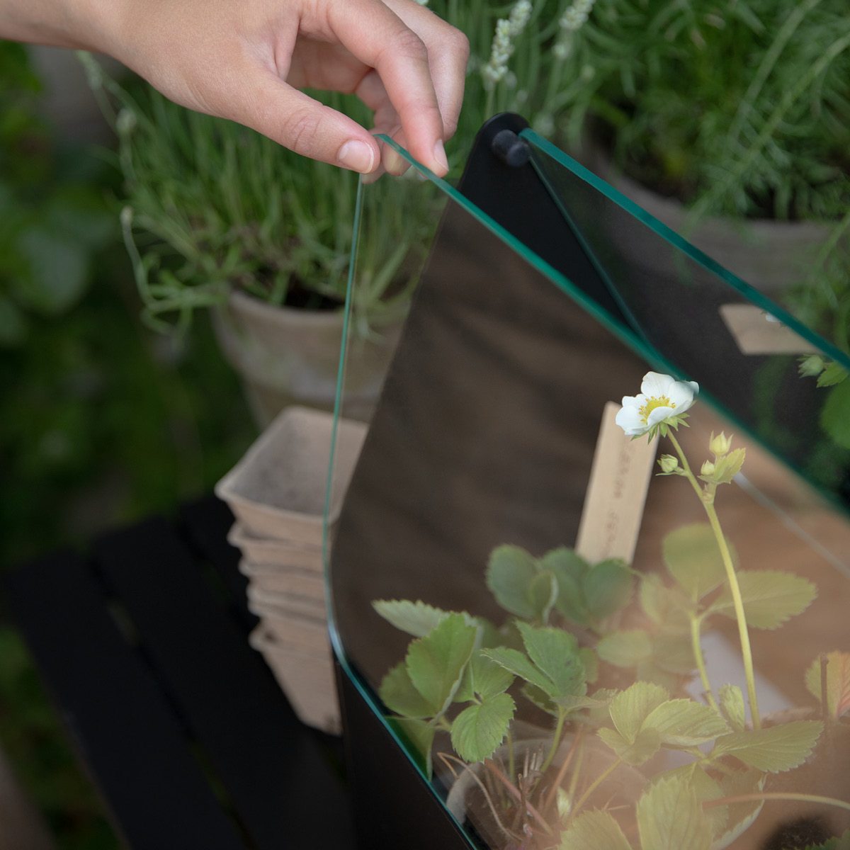 Eva Solo Simply Grow Miniväxthus 20x42x32 cm svart