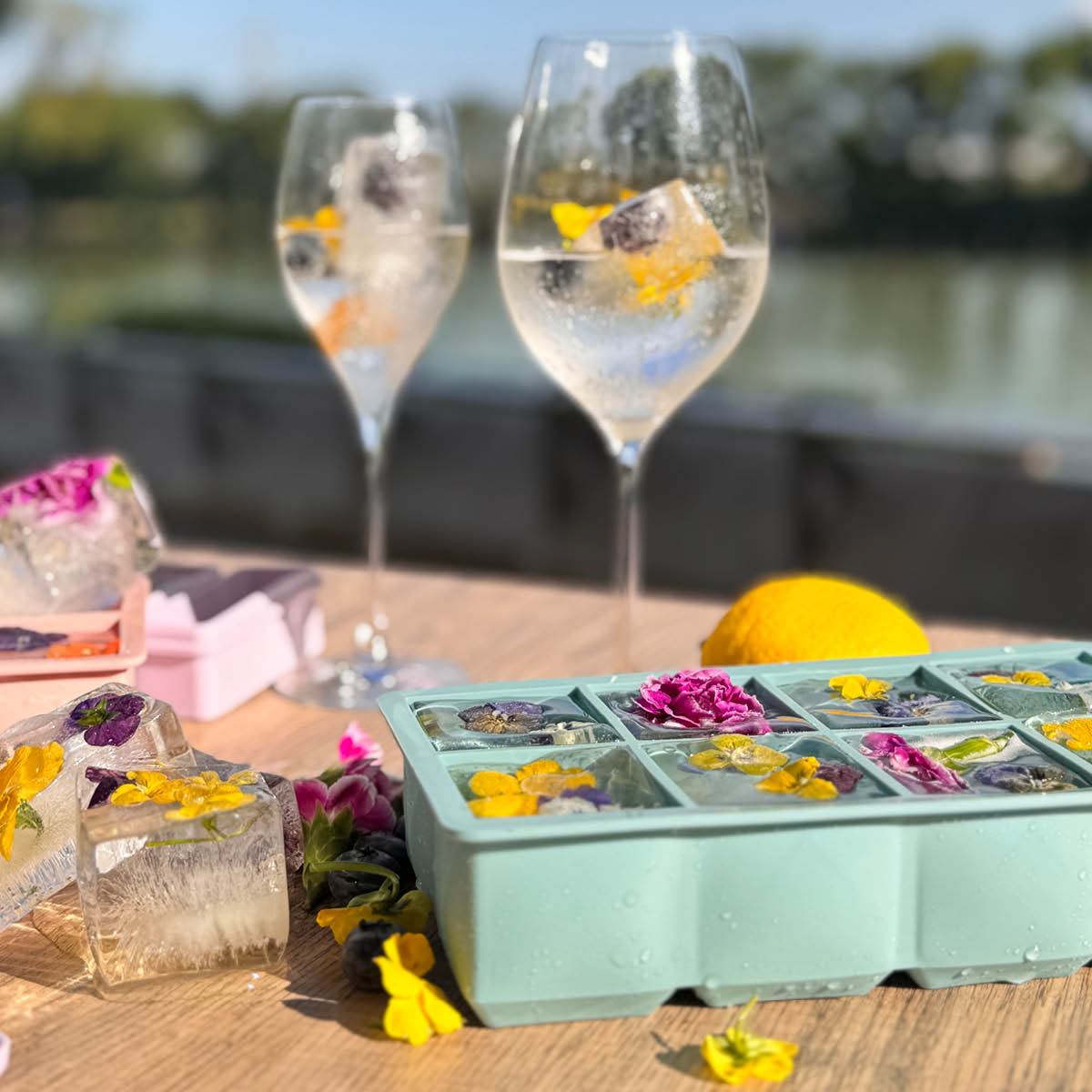 Modern House Ice isform för 8 stora isbitar blå