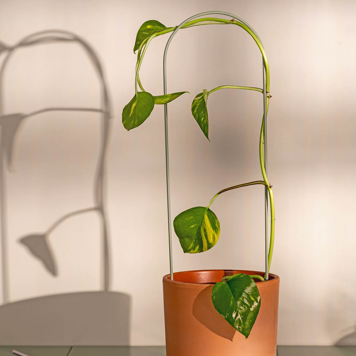 Muurla Blompinne 3-pack flerfärgad