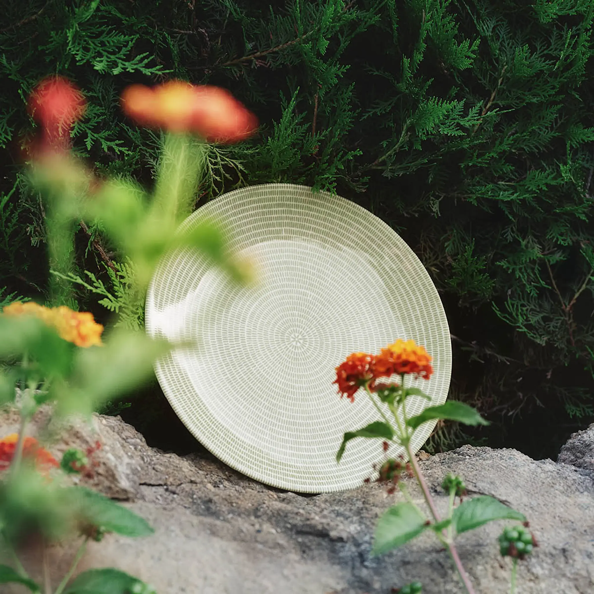 Arabia 24h tallrik 26 cm Avec grön