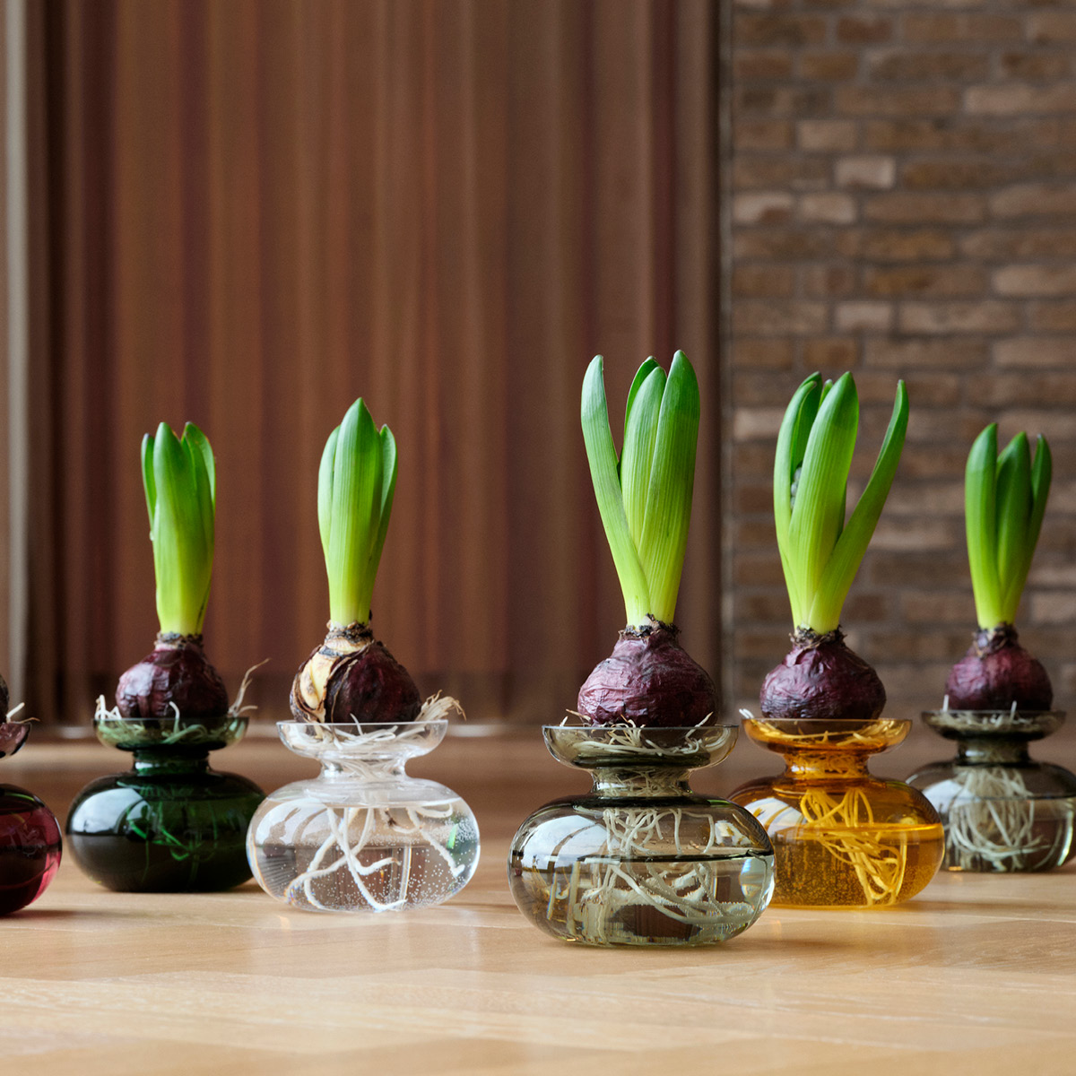 Zone Inu vas 11x9 cm pure clear