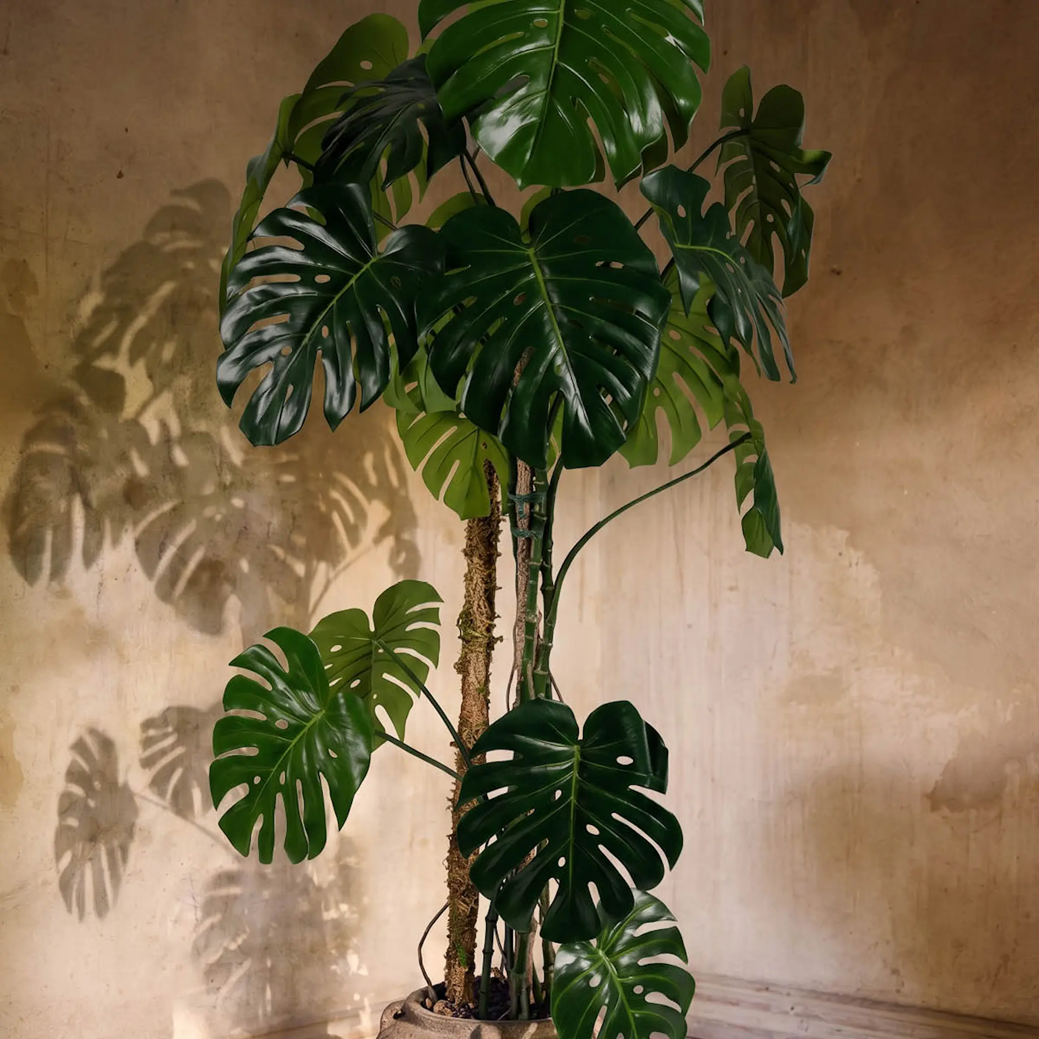 Mr Plant Monstera kunstig plante 180 cm