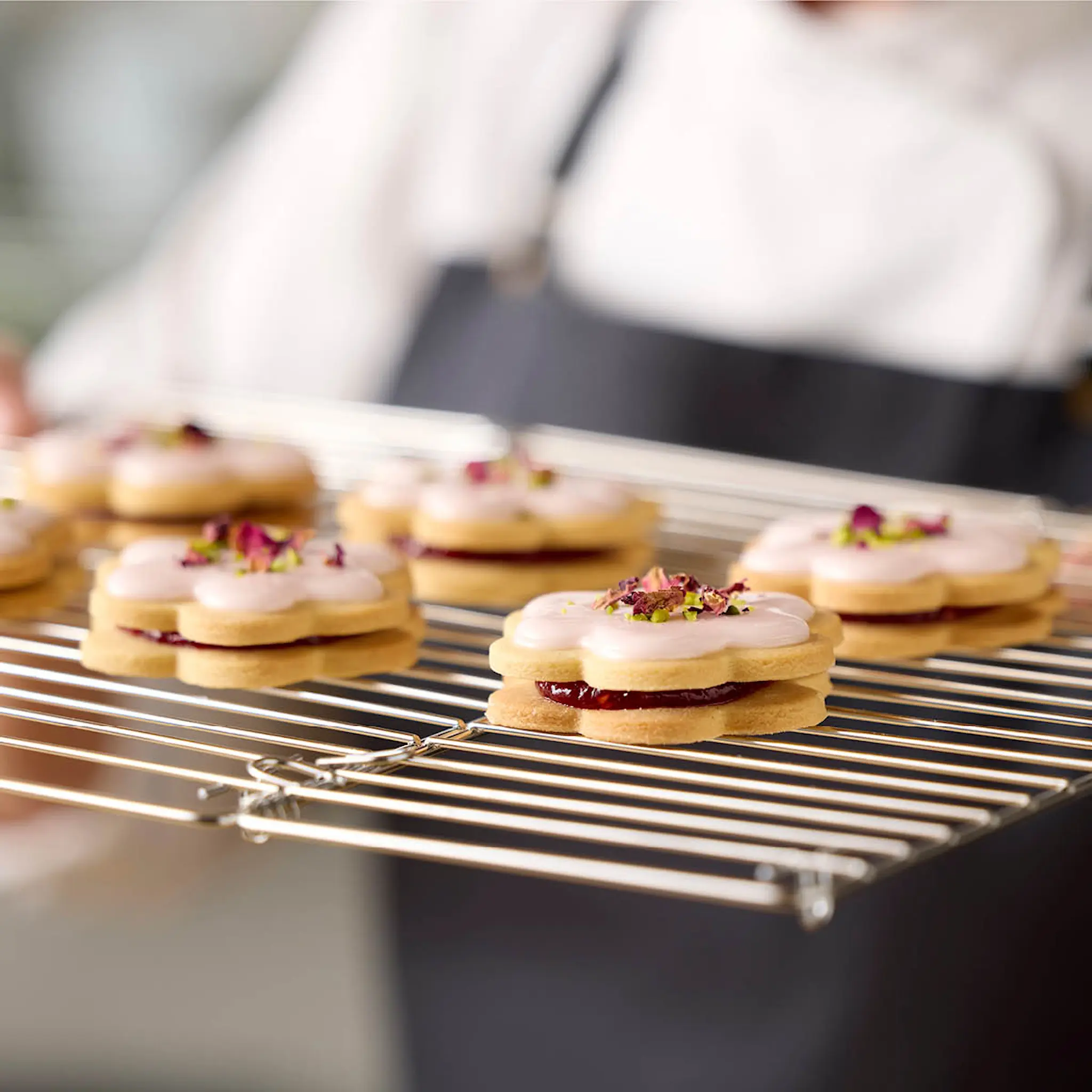 Blomsterberg Avkylningsgaller hopfällbart 48x32,5 cm stål