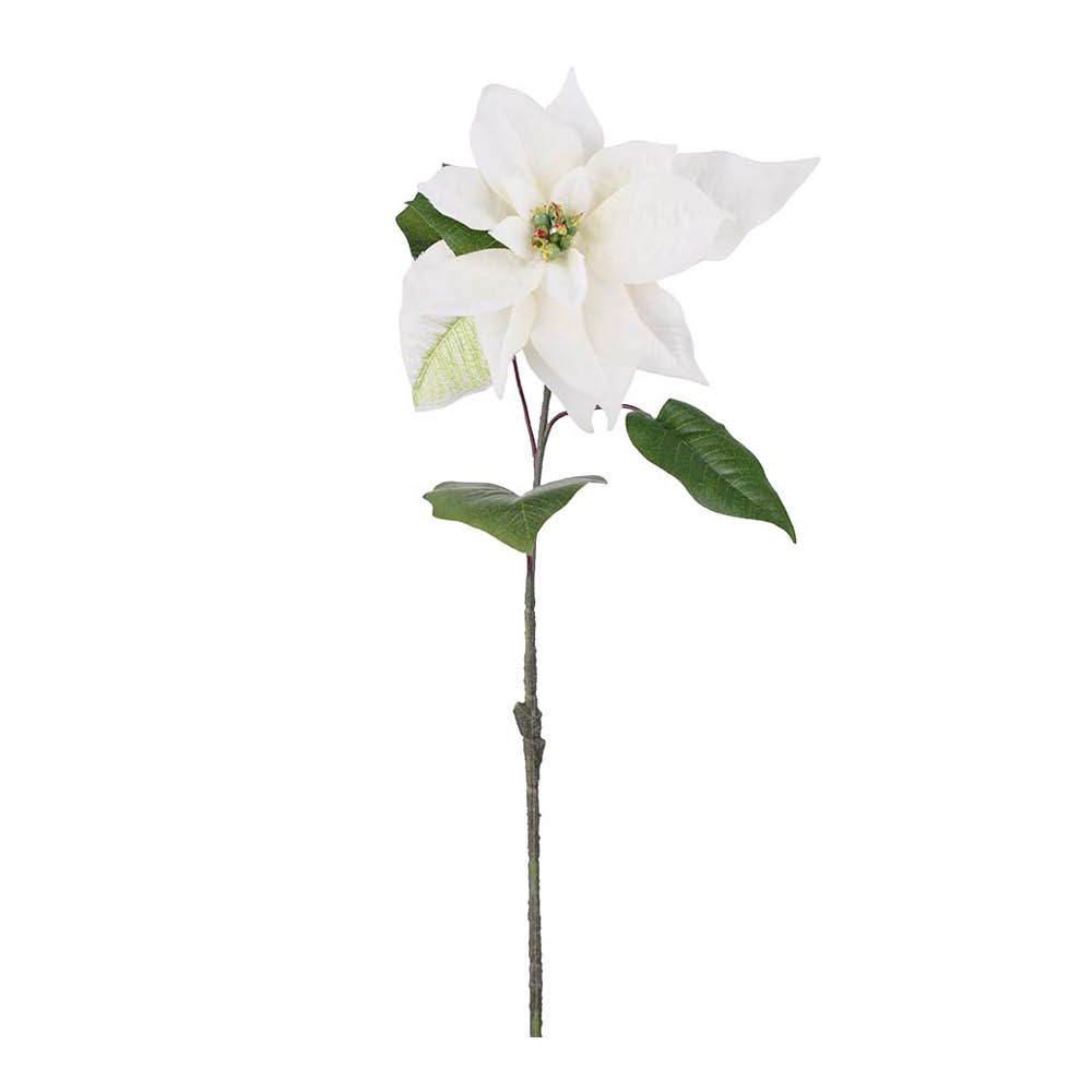 Mr Plant - Tekokukka Joulutähti 50 cm Vit