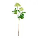 Olvon 60 cm limegrön