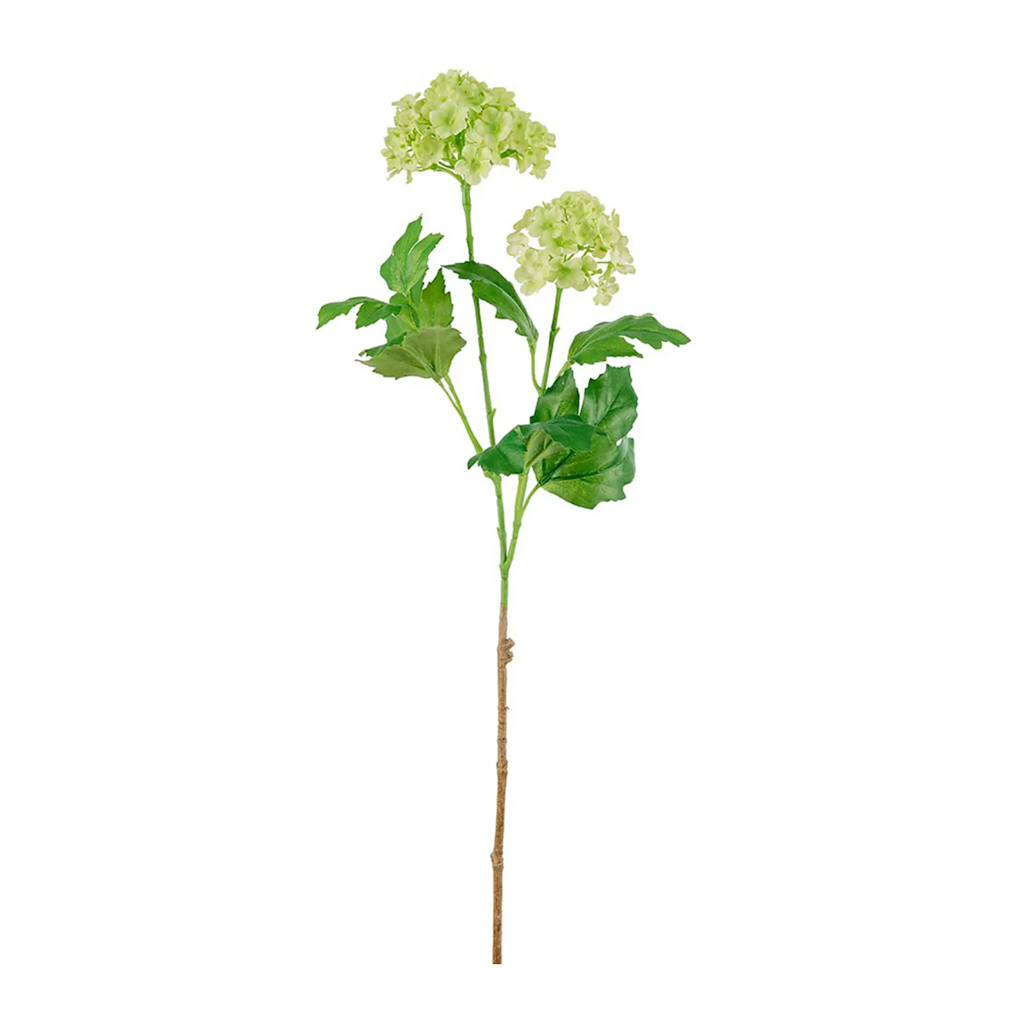 Mr Plant Olvon 60 cm limegrön