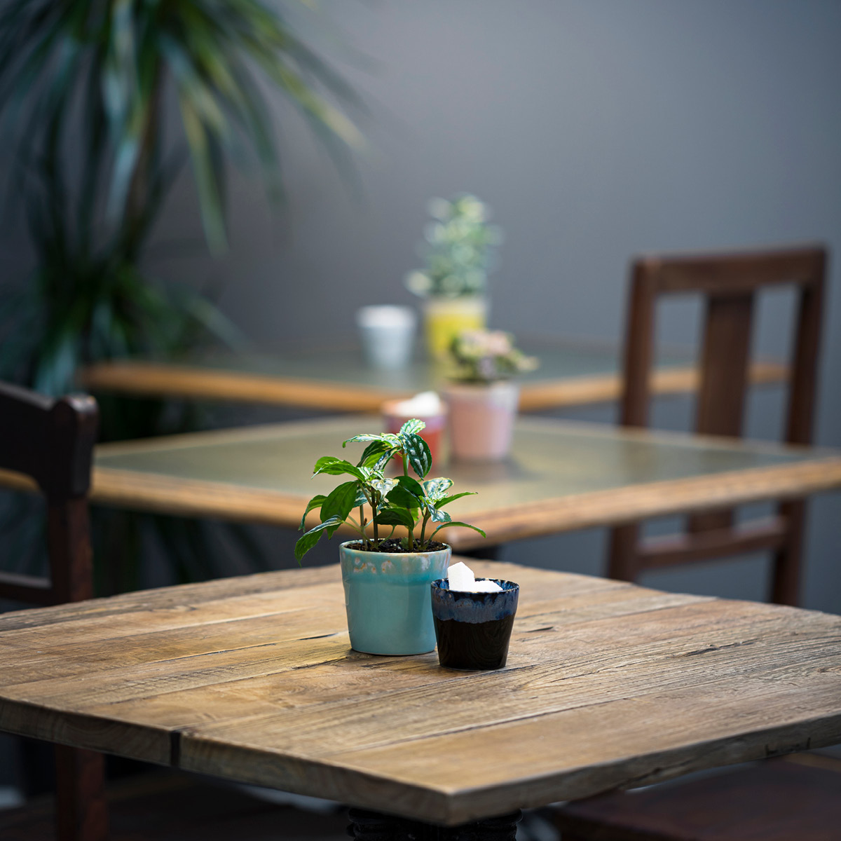 Costa Nova Gres Kuppi 21 cl 8x7,5 cm Musta