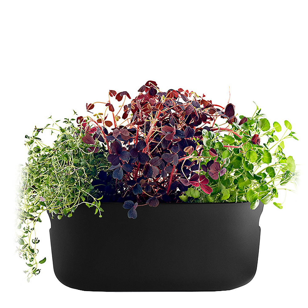 Eva Solo - Herb OrganiserItsekasteleva Yrttiruukku Musta
