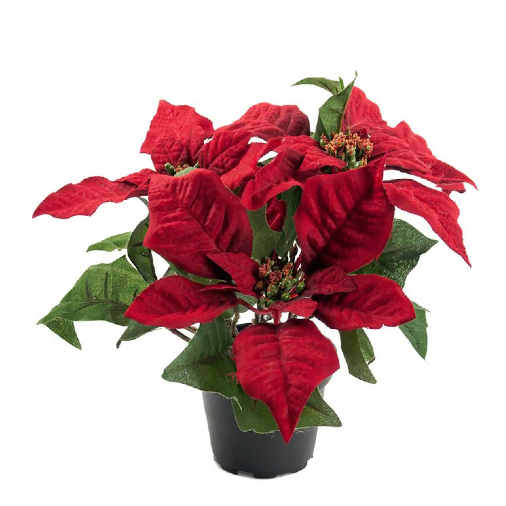 Mr Plant Julestjerne kunstig potteplante 23 cm rød