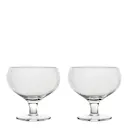 Blanka champagneglas 30 cl 2-pack klar