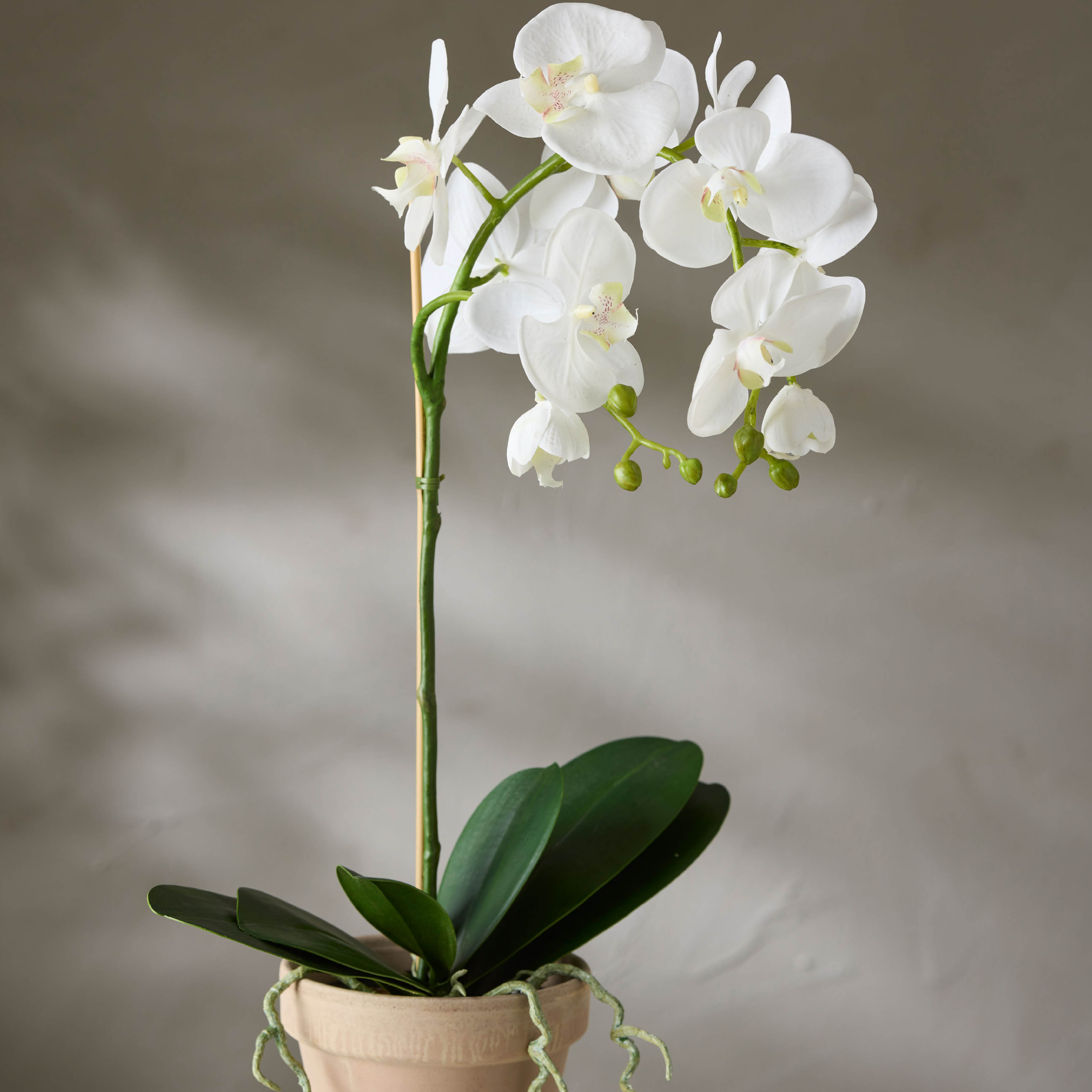 Mr Plant Phalaenopsis kunstig potteplante 60 cm hvit