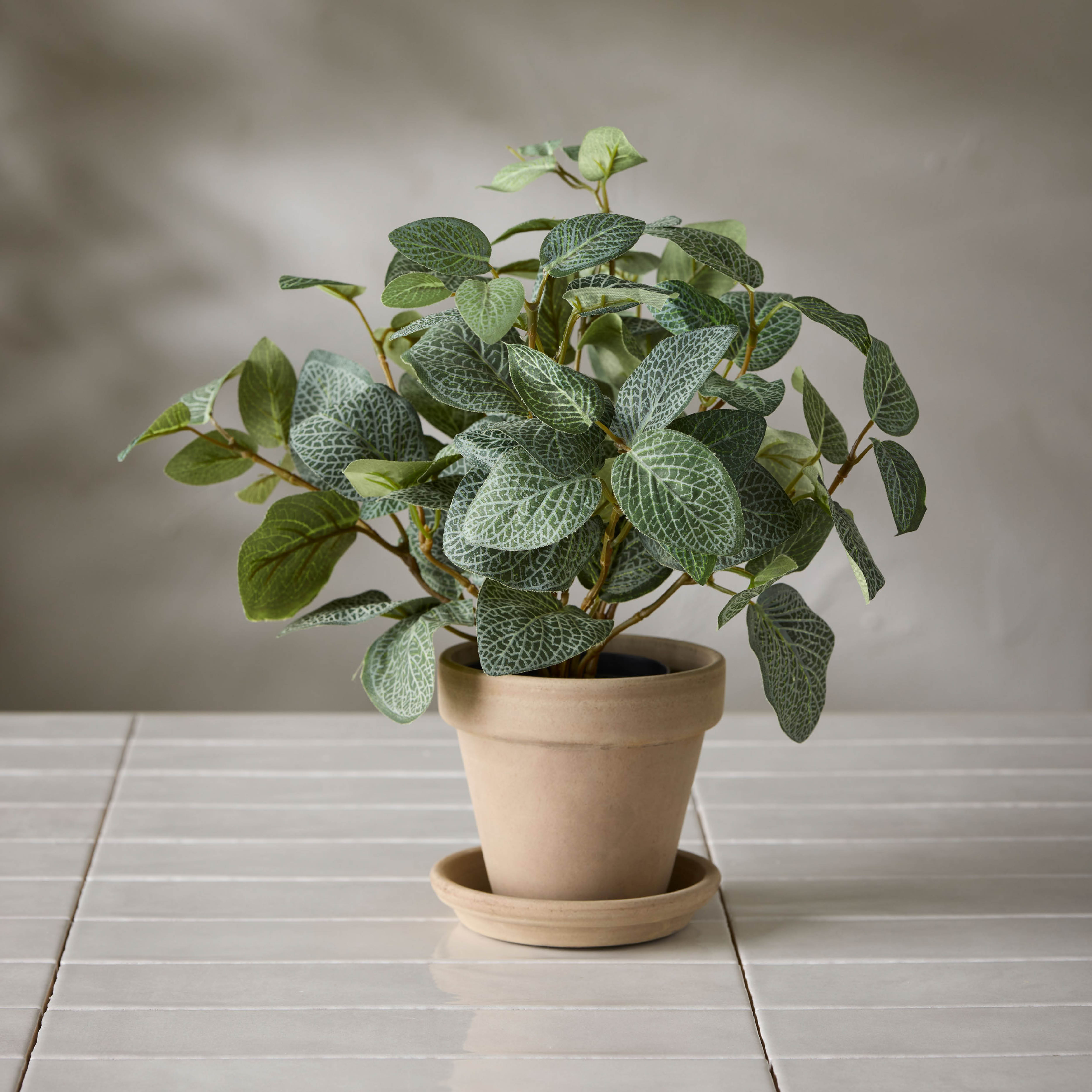 Mr Plant Fittonia kunstig potteplante 34 cm grønn