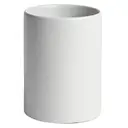 Arctic White