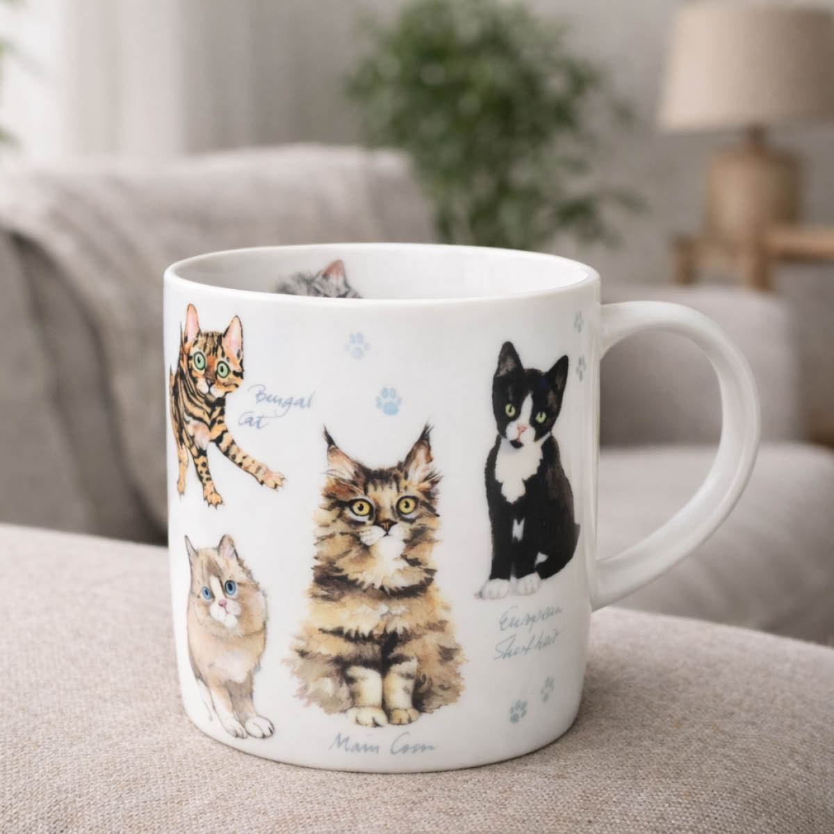 Könitz Muki 40 cl Cats