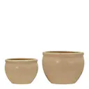 Vale blomkruka 2 delar beige