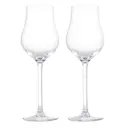 Premium Snapsglas 23 cl 2-pack