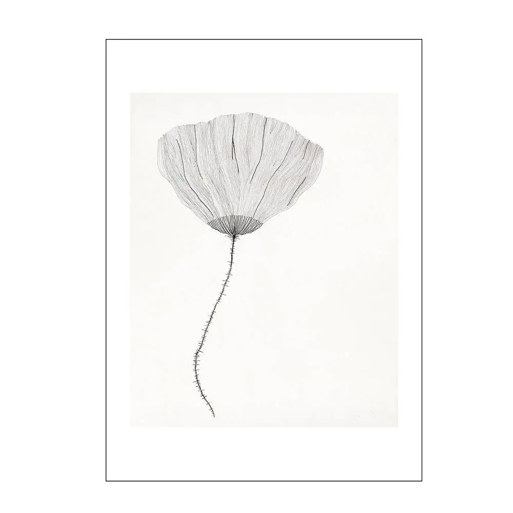 The Poster Club x Ana Frois Juliste 30x40 cm Poppy