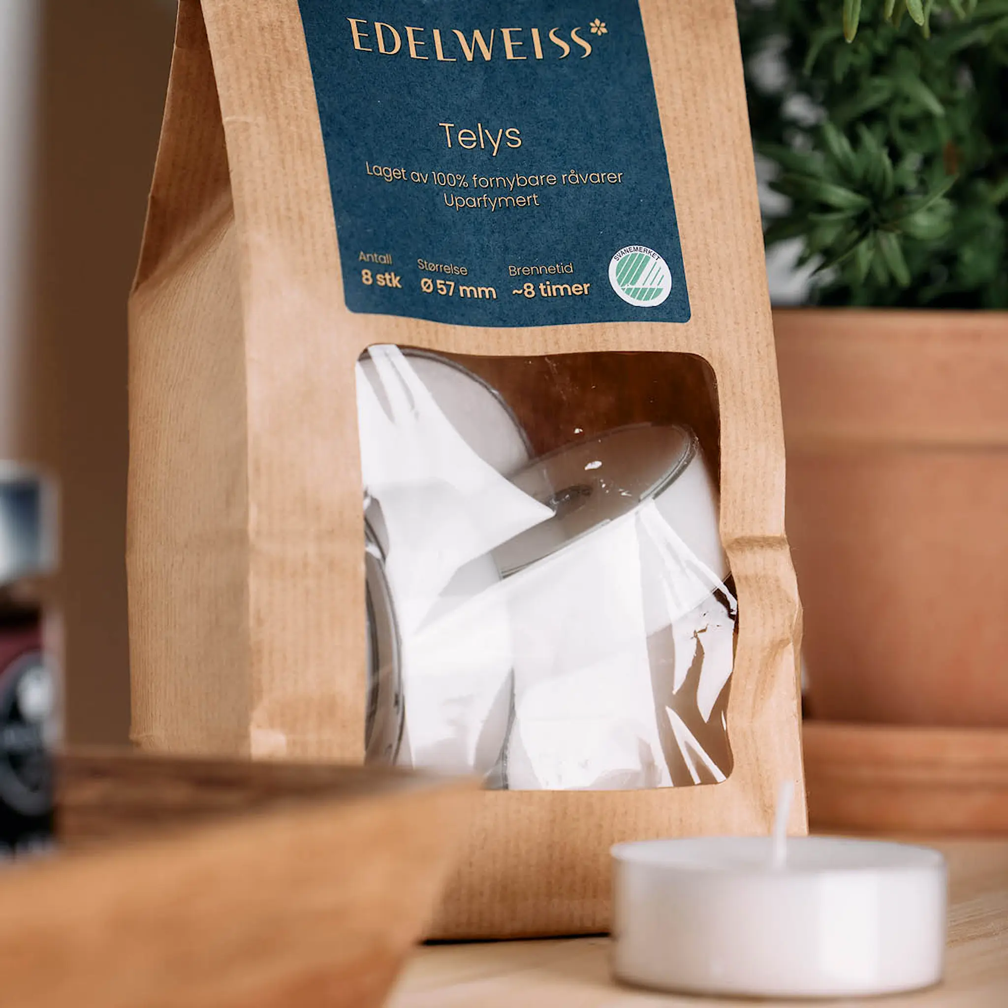 Edelweiss Isot tuikut 8 kpl valkoinen