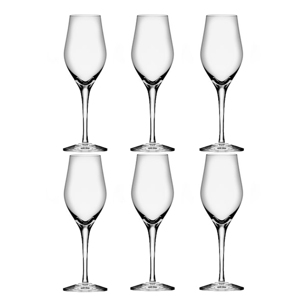 Sense Champagneglas 25,5 cl 6-pack