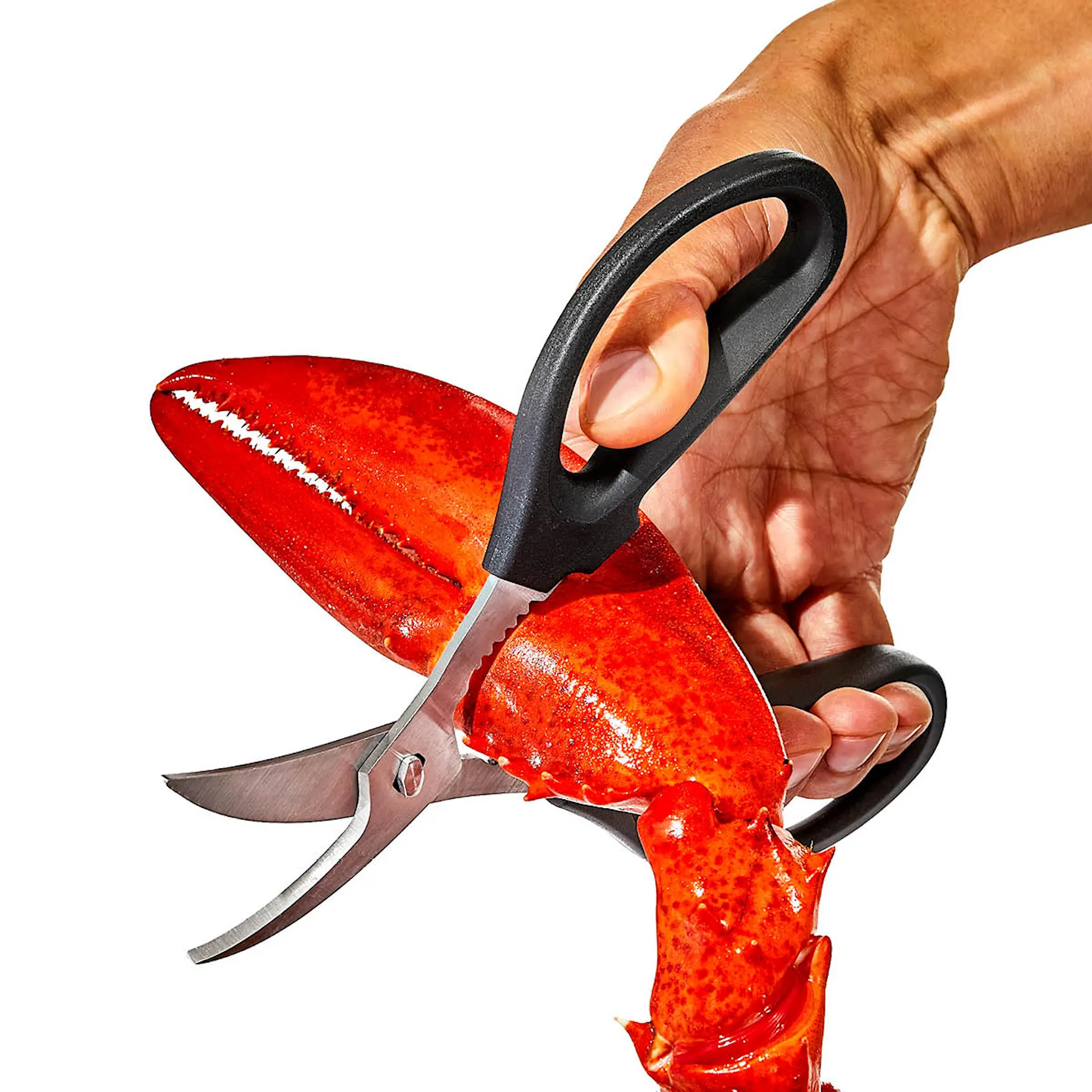 Oxo Oxo Äyriäissakset 19 cm Musta