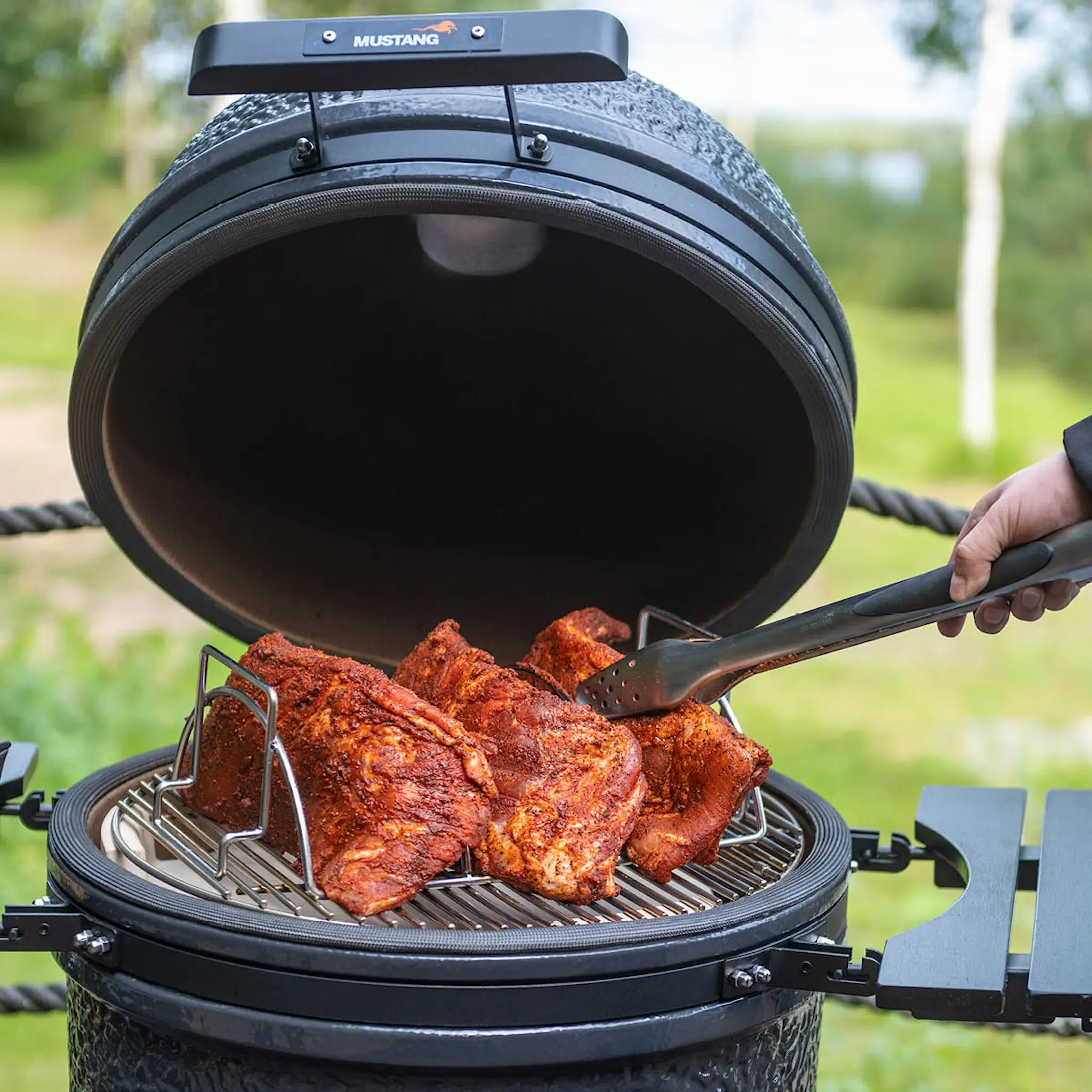 Mustang Rib Rack Ribs teline 38x25,5x13 cm