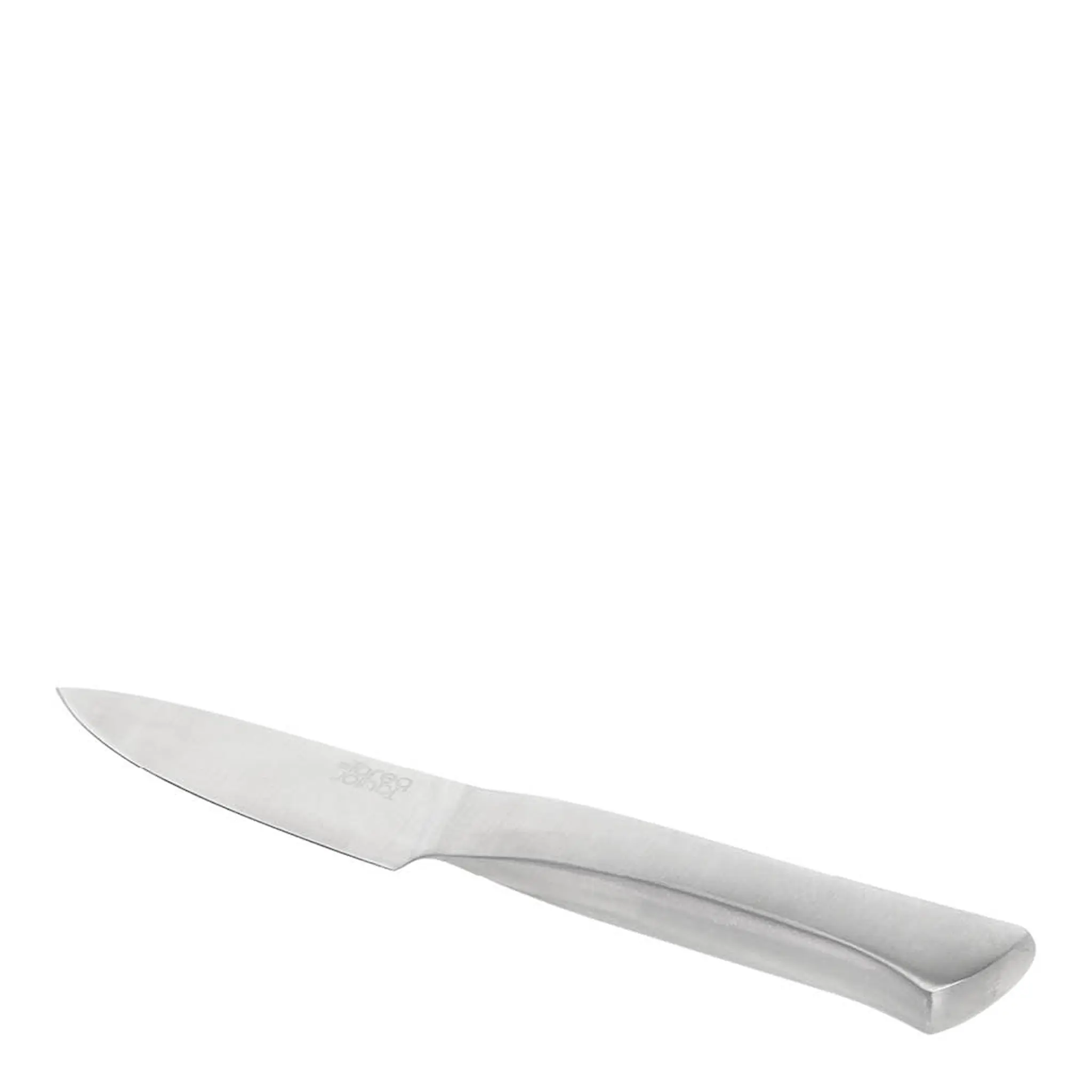 Tareq Taylor Precision skalkniv 20 cm rostfritt stål