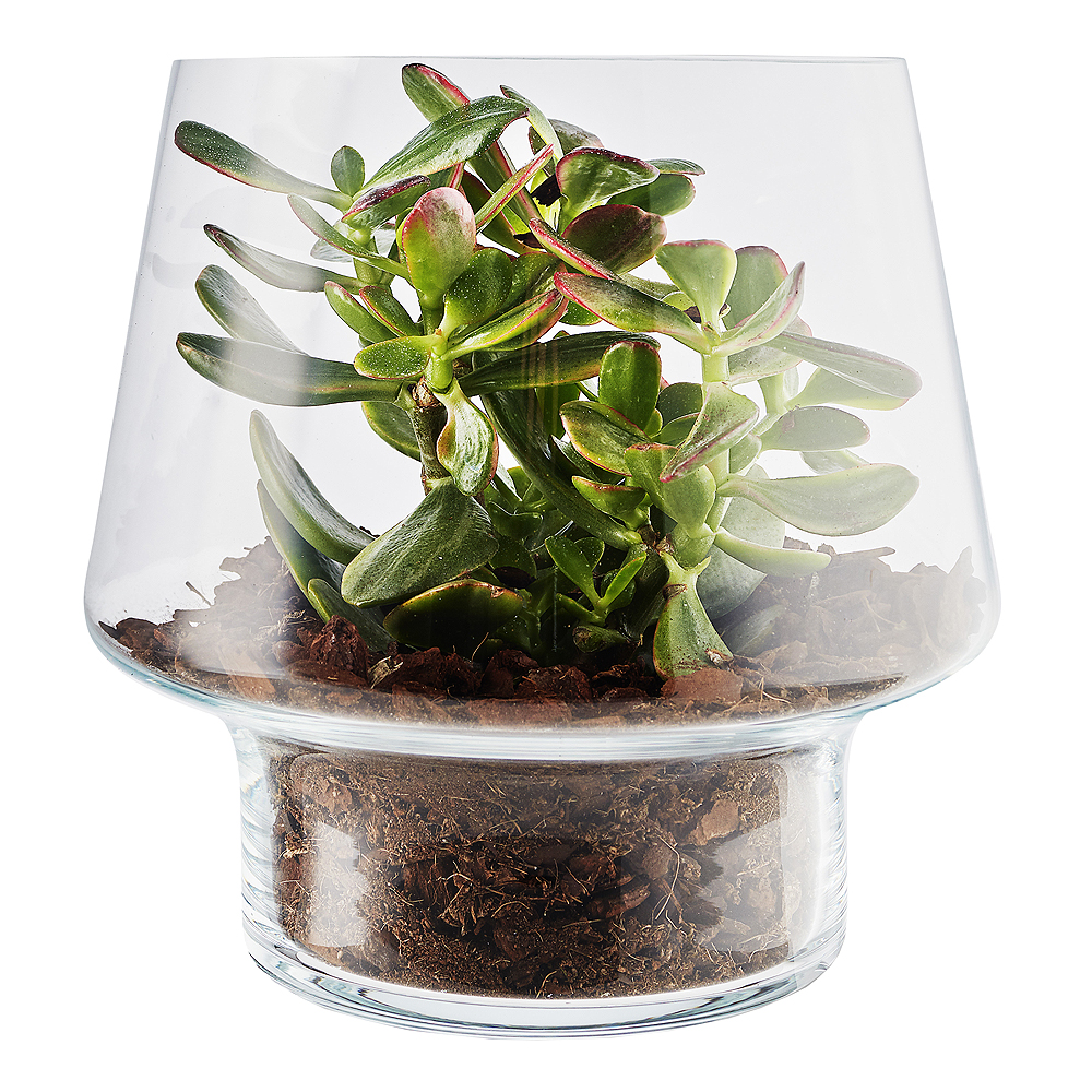 Eva Solo Lasimaljakko mehikasveille 21 cm