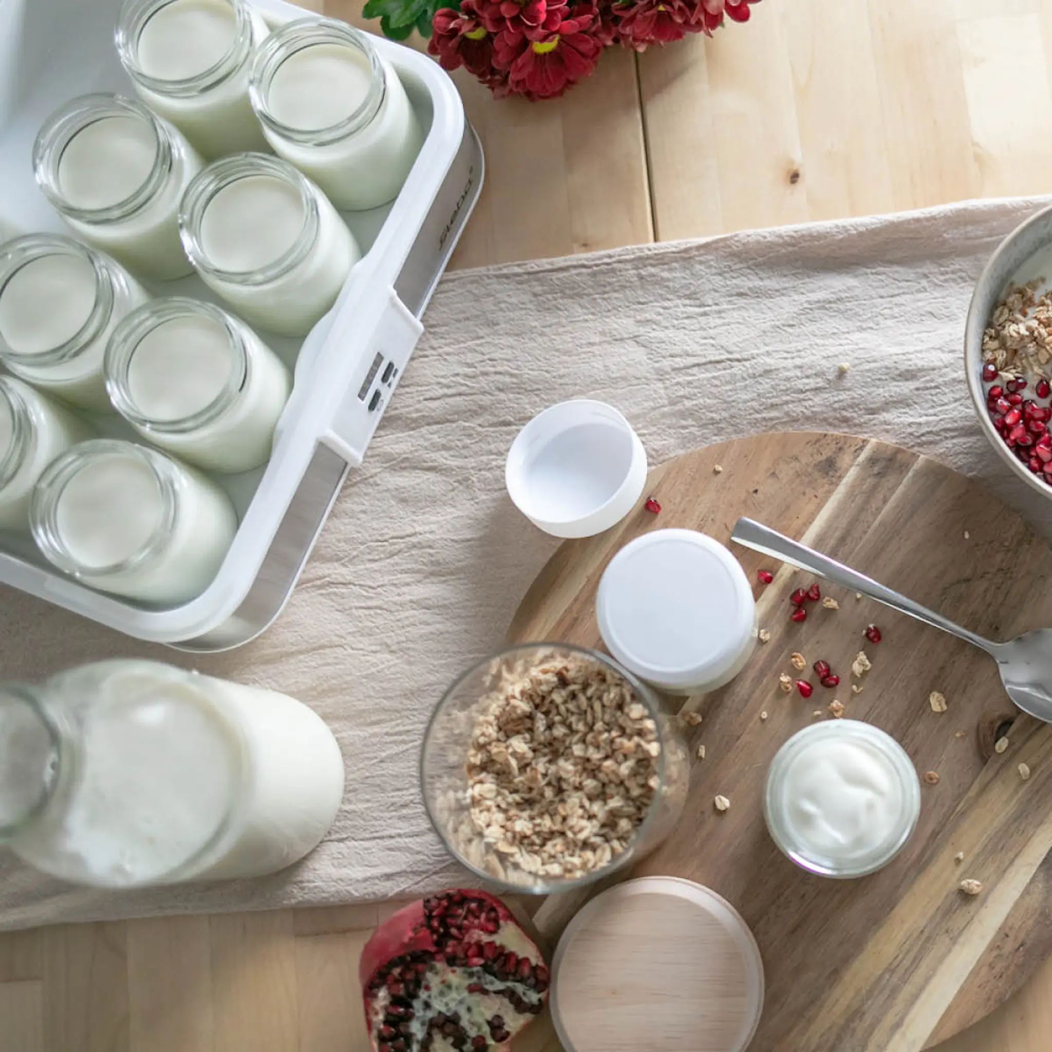 Steba Yoghurtmaskin JM2 2,5 L med glasbehållare 12-pack rostfritt stål/vit