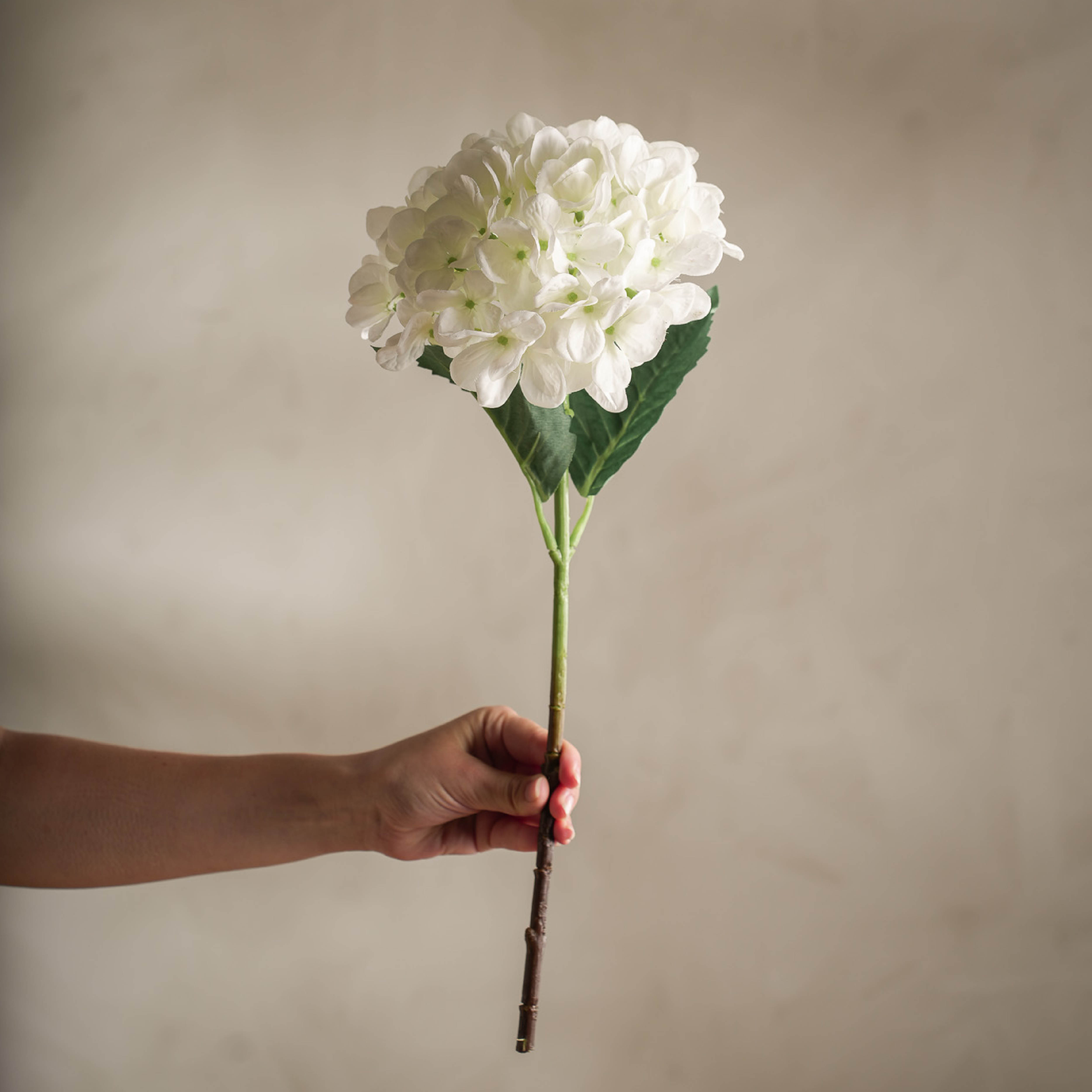 Mr Plant Hortensia keinotekoinen leikkokukka 48 cm valkoinen