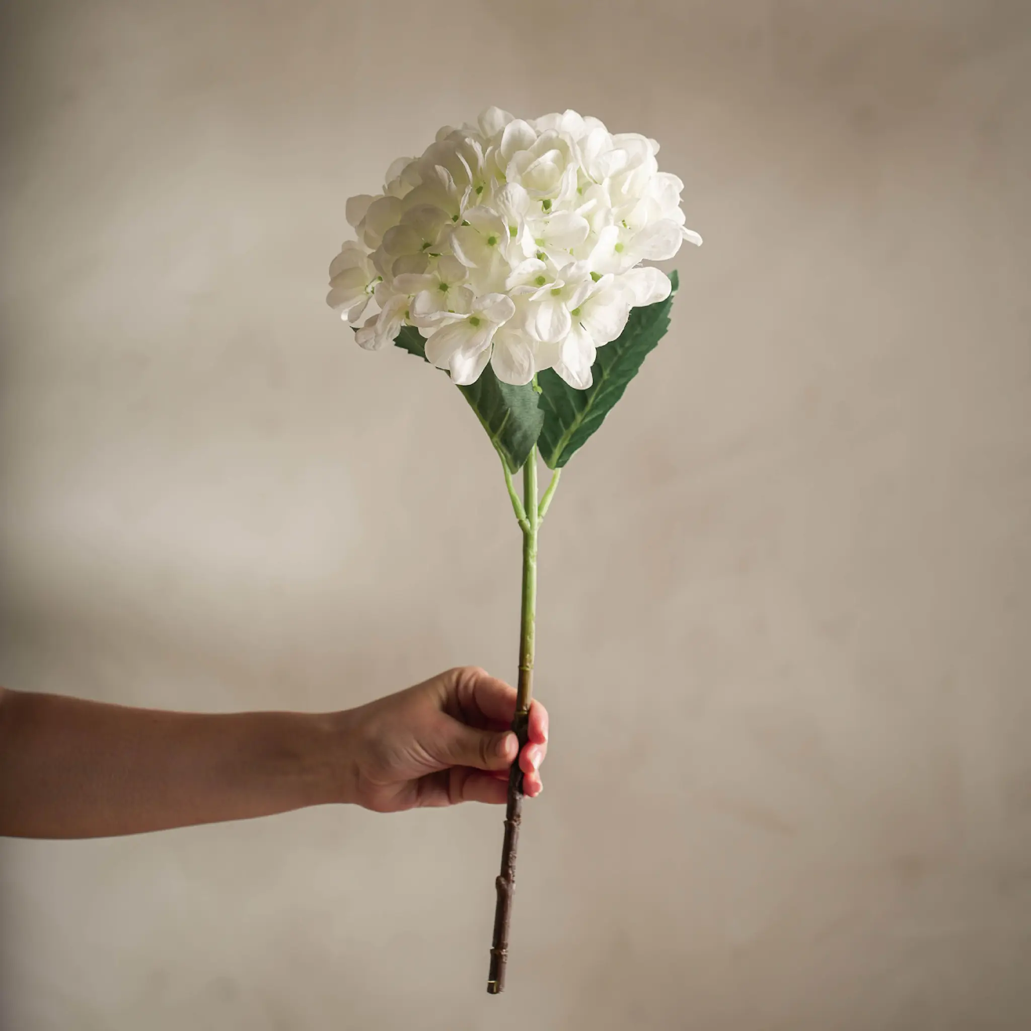 Mr Plant Hortensia keinotekoinen leikkokukka 48 cm valkoinen