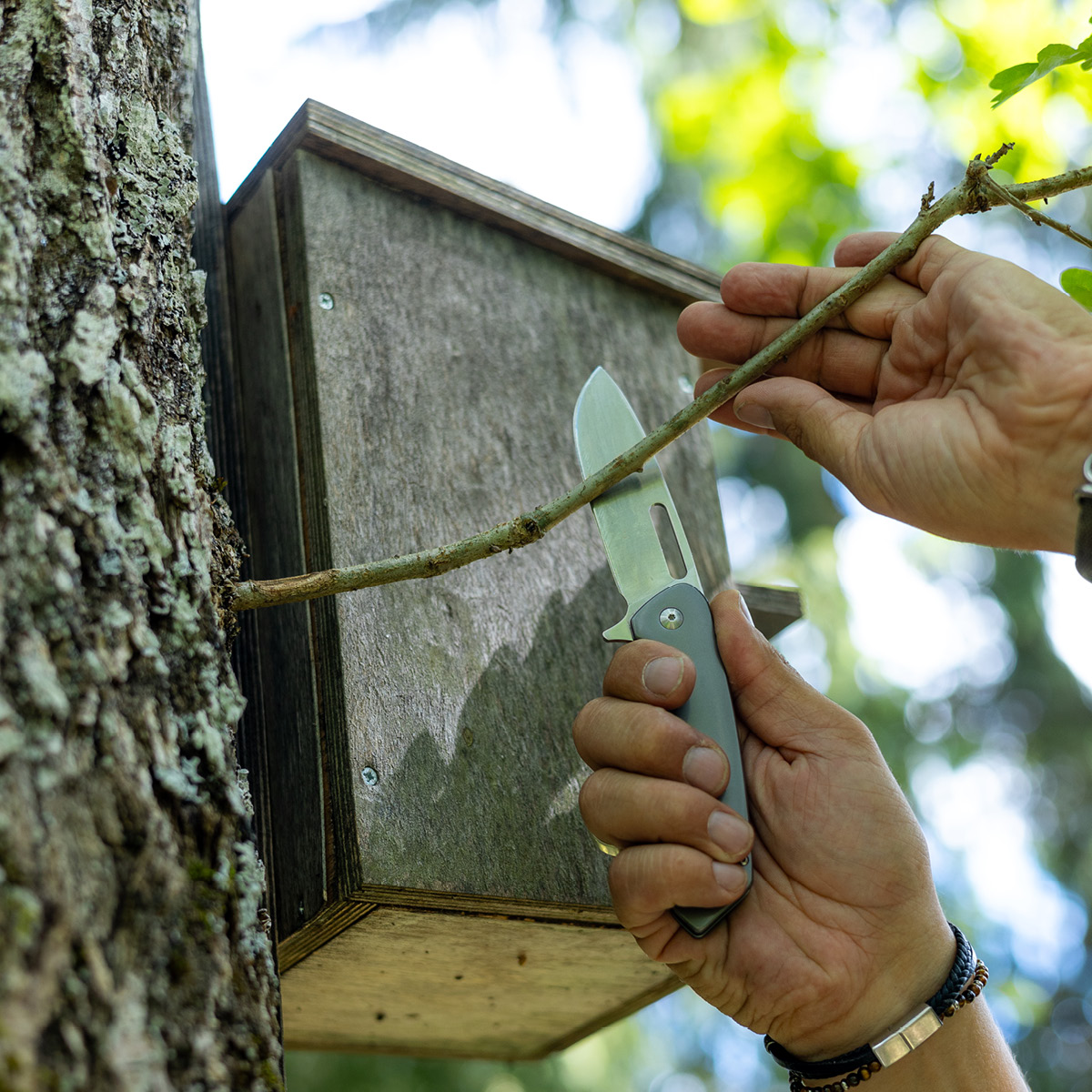 EKA Classic 8 foldekniv 9 cm rustfritt stål/titan