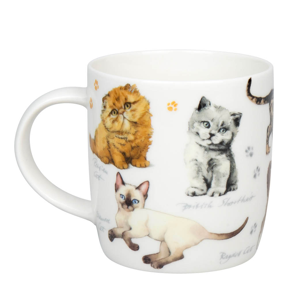 Könitz Muki 40 cl Cats