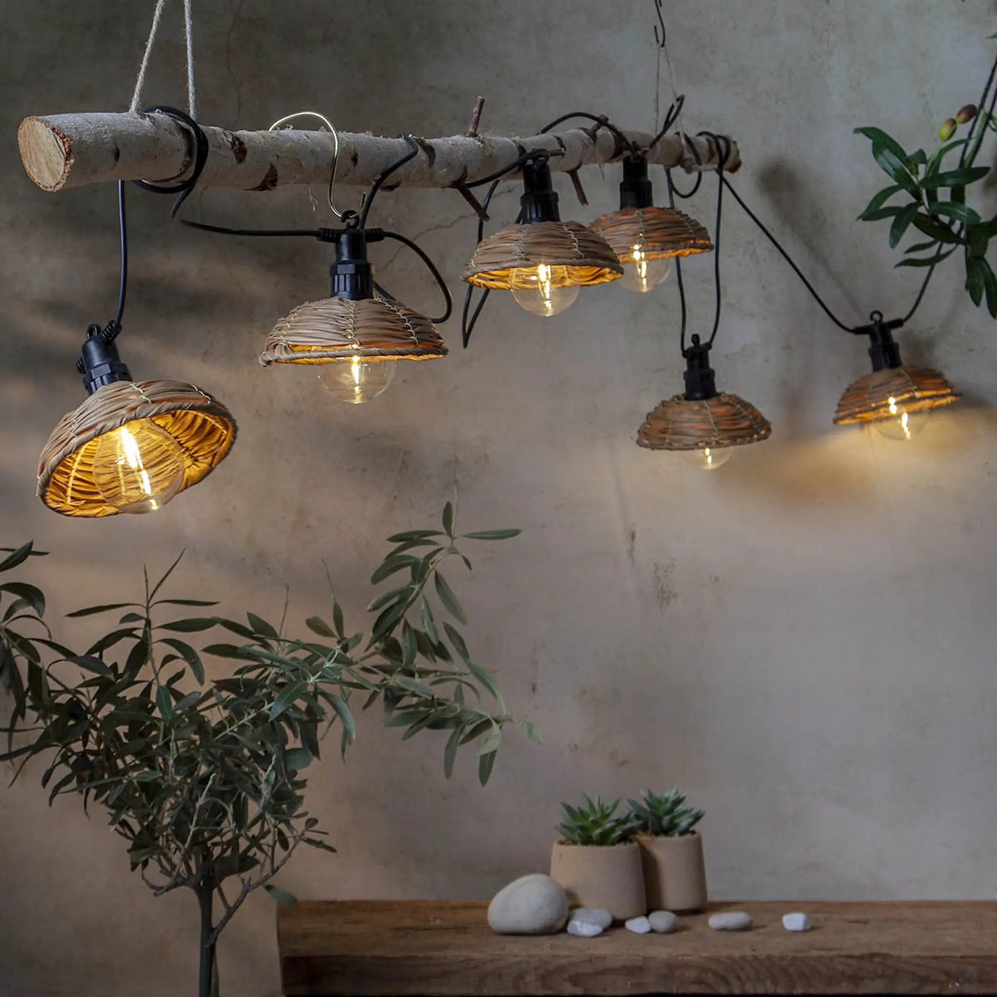 Star Trading Cesta Light valosarja 473-11 350 cm kirkas