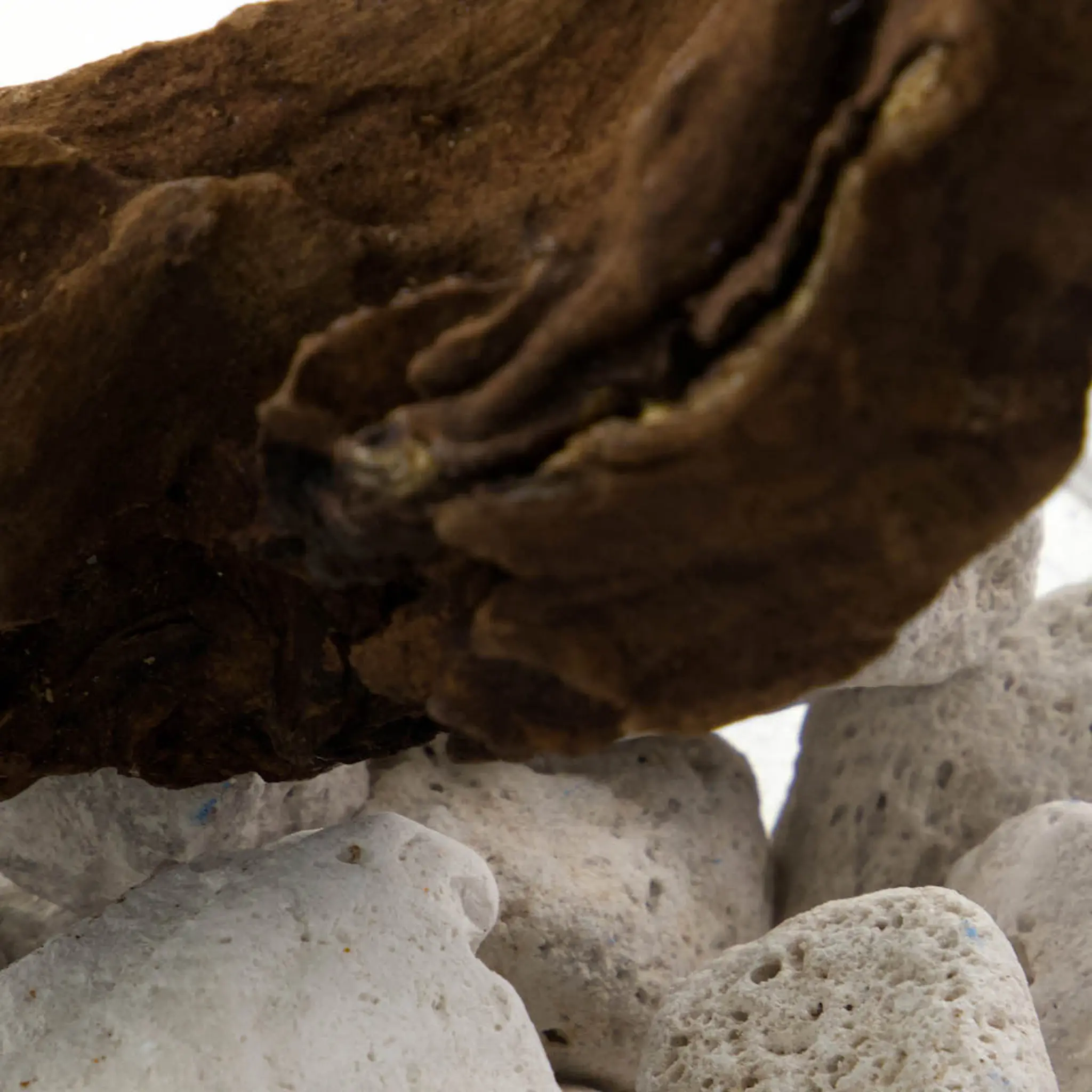 Meraki Lavastone & wood Huonetuoksu Valkoinen