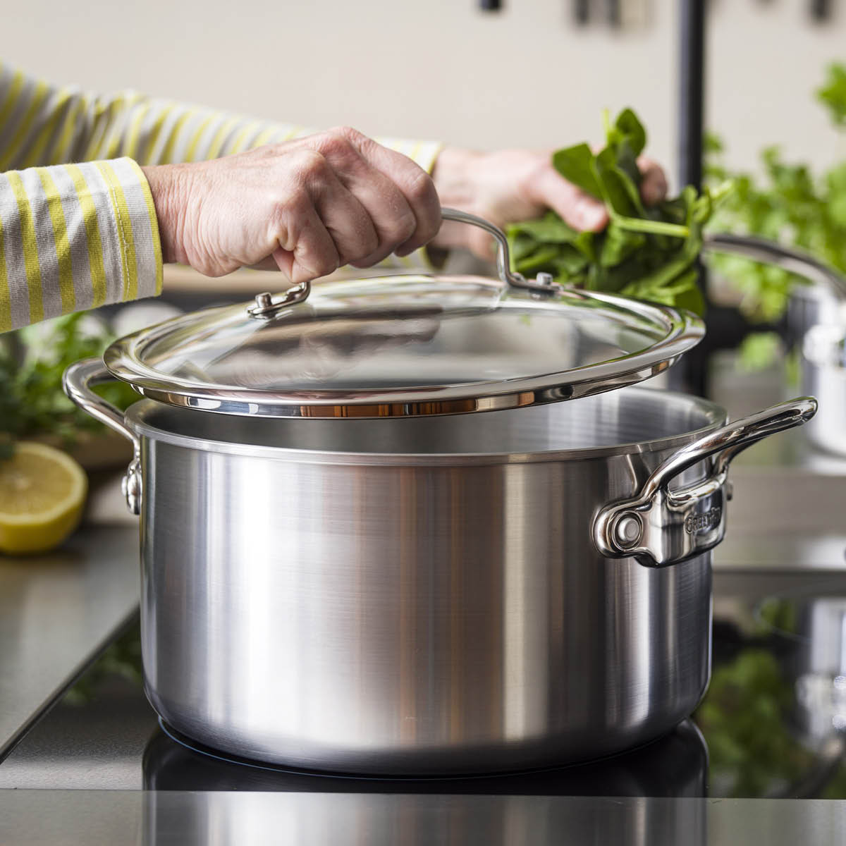 GreenPan Premiere kattila kannella 24 cm 4,91 L