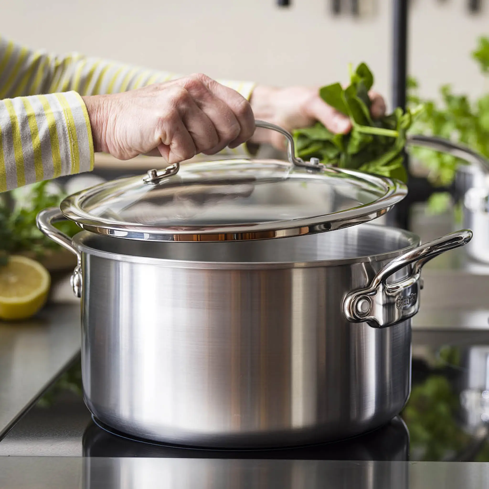 GreenPan Premiere kattila kannella 24 cm 4,91 L