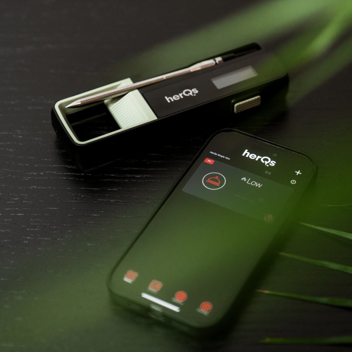 Click & Grow HerQs Double Max termometer svart