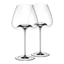Vision Balanced Vinglas 2-pack