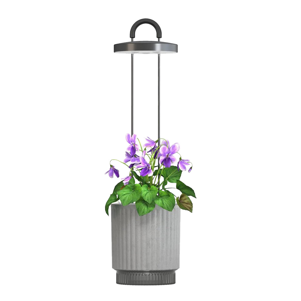 Click & Grow - Click & Grow x HydroVase LED Kasvivalaisin Harmaa