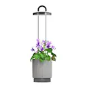 Click & Grow x HydroVase LED-odlingslampa grå