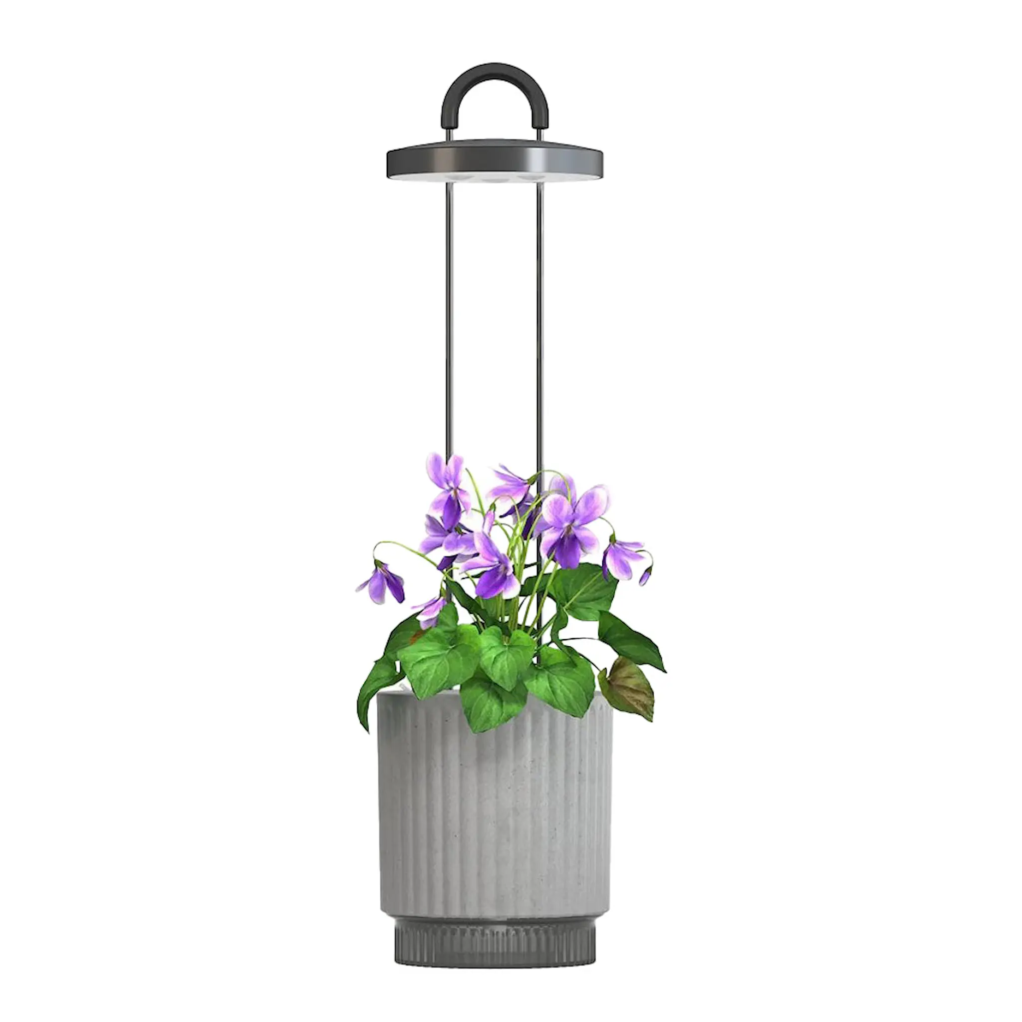Click & Grow Click & Grow x HydroVase LED-odlingslampa grå