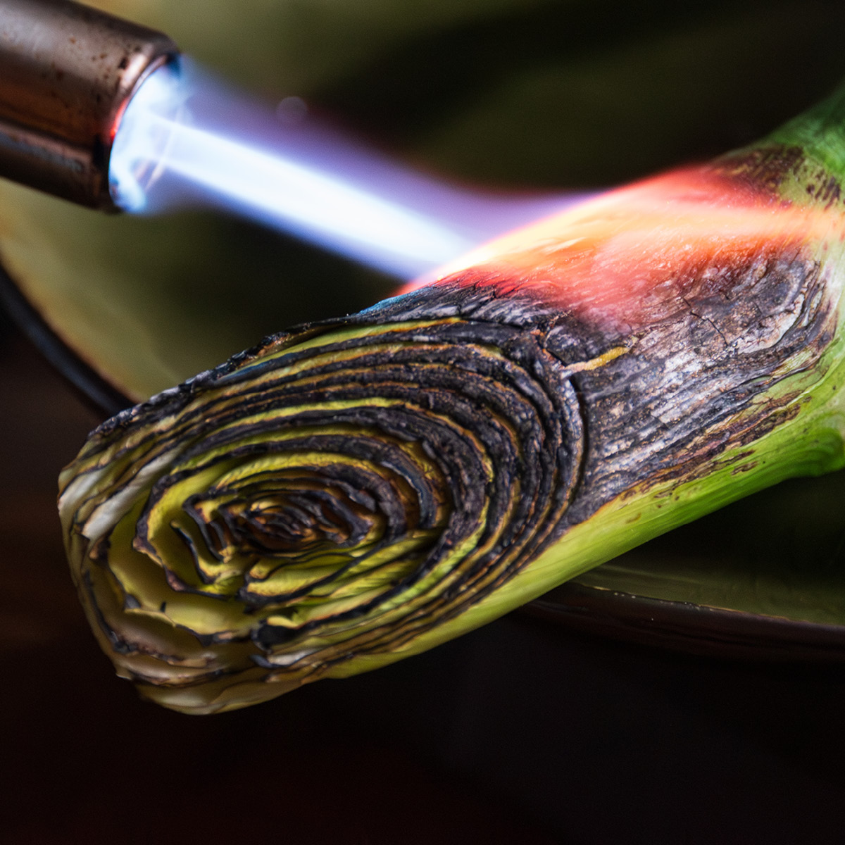 Satake Satake Kaasupolttimen pää